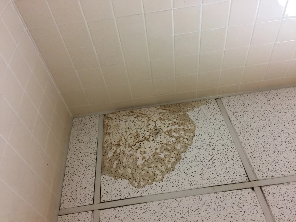 Ceiling with water damage stains and peeling paint